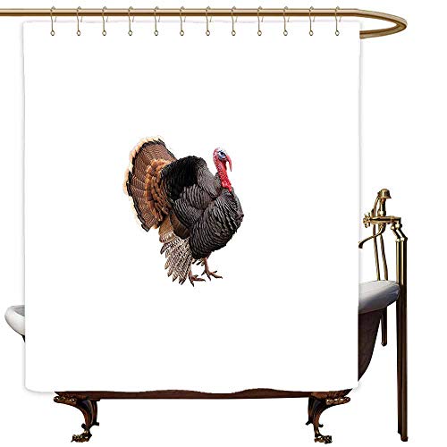 SKDSArts Shower Curtains with Quotes for Bathroom Turkey,Realistic Bird Picture Thanksgiving Day Family Dinner Theme Farm Animal Photo,Black Brown Coral,W72 x L72,Shower Curtain for Bathroom